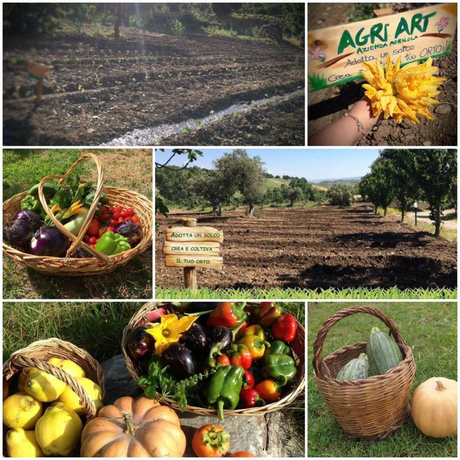 הוילה San Benedetto Ullano Agri Art מראה חיצוני תמונה