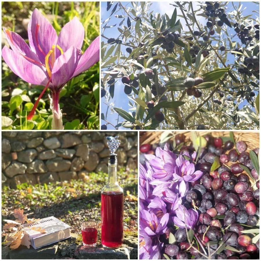 הוילה San Benedetto Ullano Agri Art מראה חיצוני תמונה