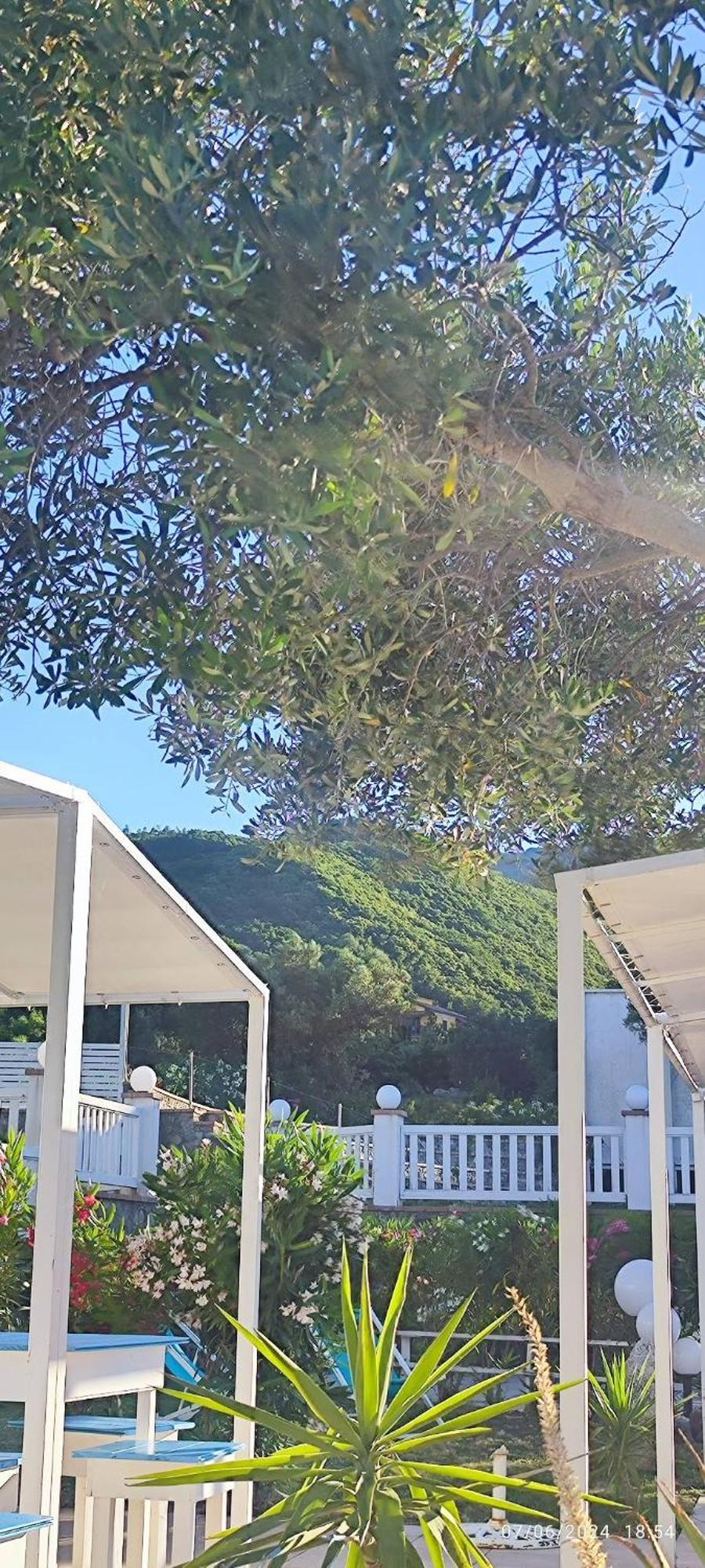 הוילה San Benedetto Ullano Agri Art מראה חיצוני תמונה